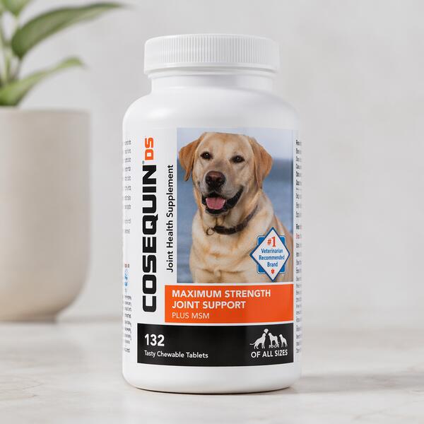 Cosequin DS Joint Supplement for Dogs Standard