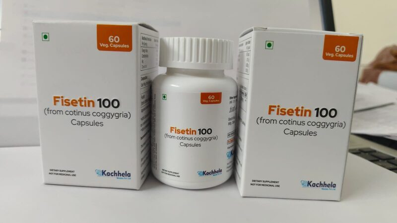 Fisetin 100mg Capsules 100mg